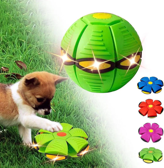Bola mágica UFO para animais de estimação