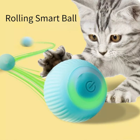 Bola de rolamento automático para gatos