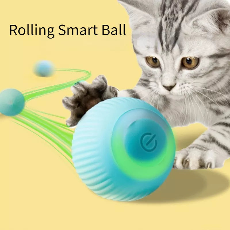 Bola de rolamento automático para gatos